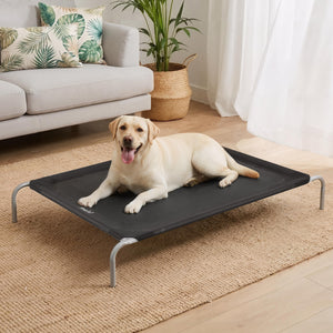 Elevated Dog Bed | Heavy Duty Trampoline Style | 90x137cm | Black
