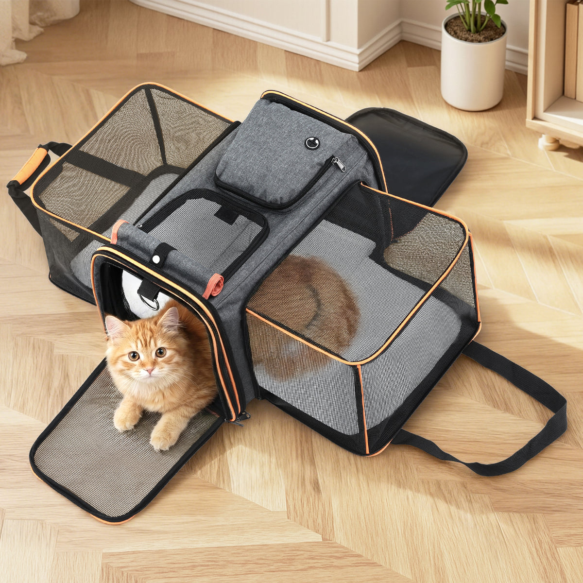 Expandable Pet Carrier Bag | Foldable Travel Cage | Dog & Cat
