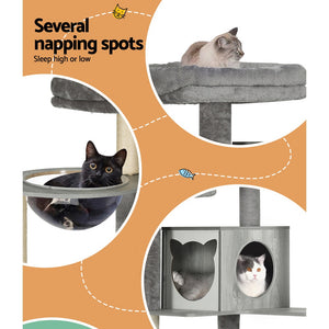 Cat Tree 178cm | Tower Scratching Post Scratcher Wood Bed Condo House Wooden Ladder