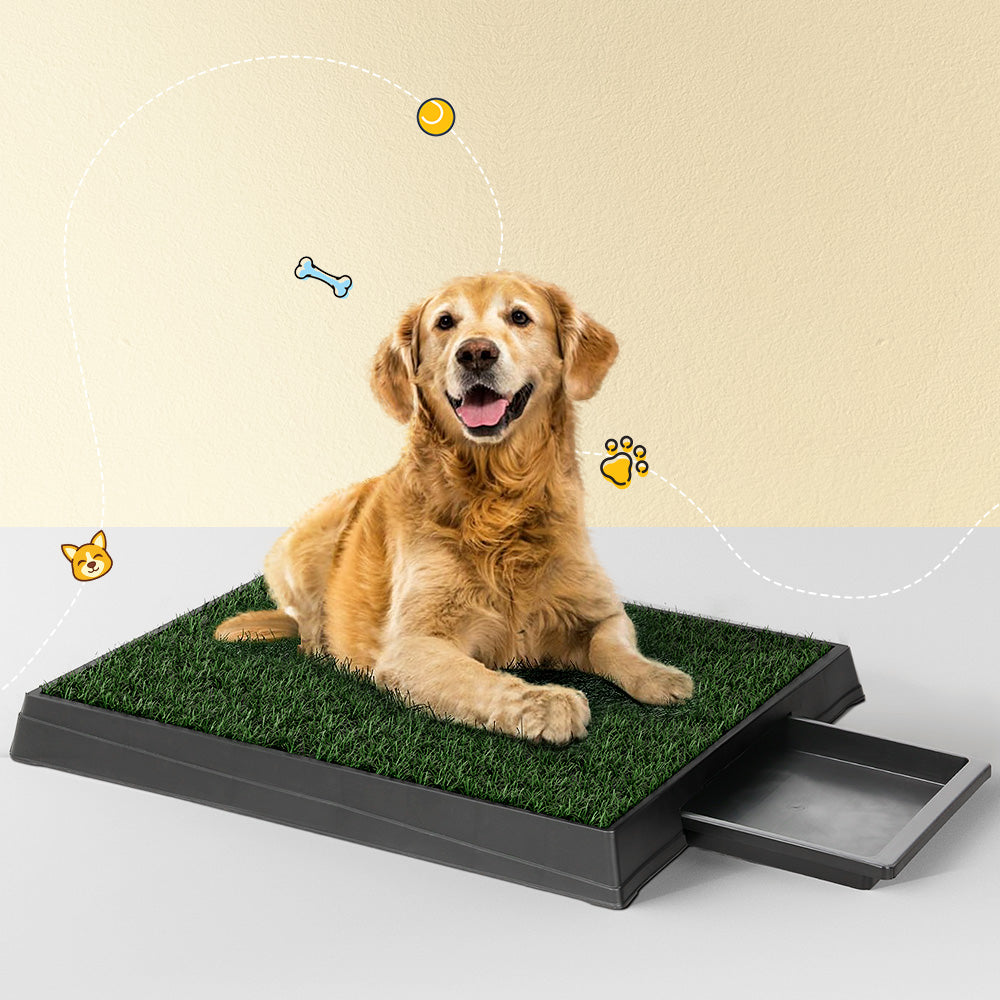 Pet Training Pad | Dog Potty Toilet Large Loo Portable with Tray Grass Mat