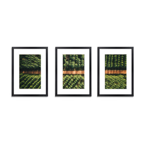 3 PCS Photo Frame Wall Set | A3 Picture | Home Decor | Art | Gift | Present | Black