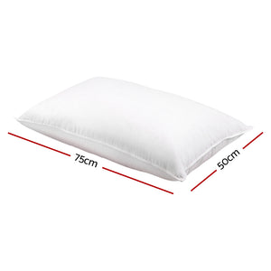 Bedding | Duck Feather Down Pillow | Twin Pack