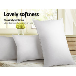 Bedding | Duck Feather Down Pillow | Twin Pack