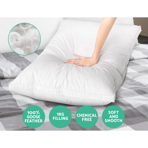 Bedding | Goose Feather Down Pillow | Luxury | Twin Pack