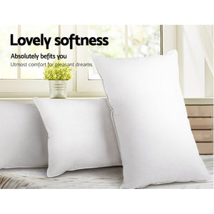 Bedding | 4 Pack Bed Pillow | Family Hotel | 50x90CM