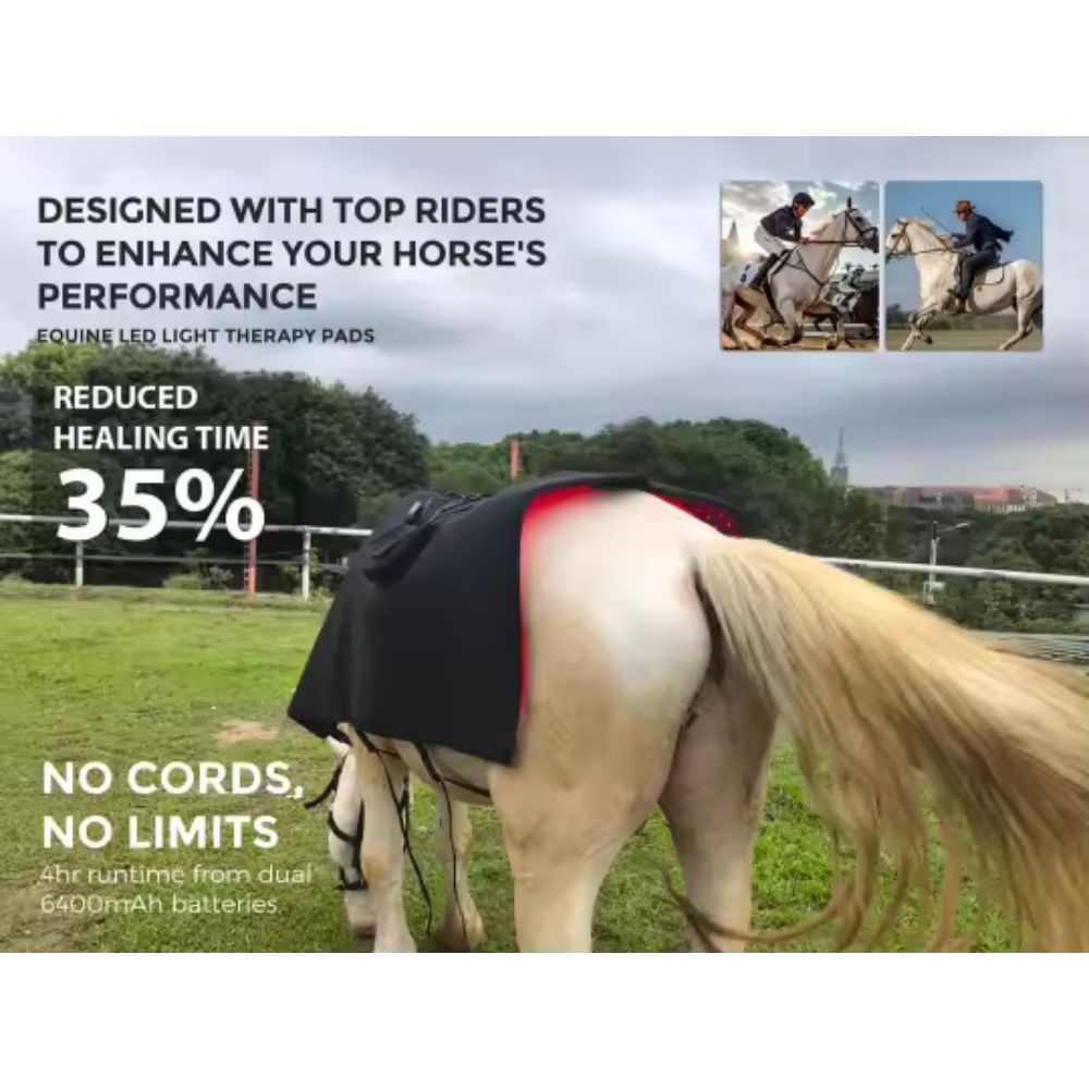 Professional Portable LED Red & Near-Infrared Light Therapy Pad for Horses | 660nm + 850nm Dual Wavelength | Rechargeable & Wireless | Large Coverage Wrap