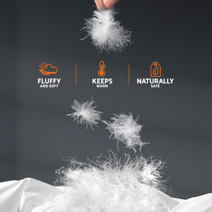 Bedding | 700GSM | Goose Down Feather Quilt | Queen