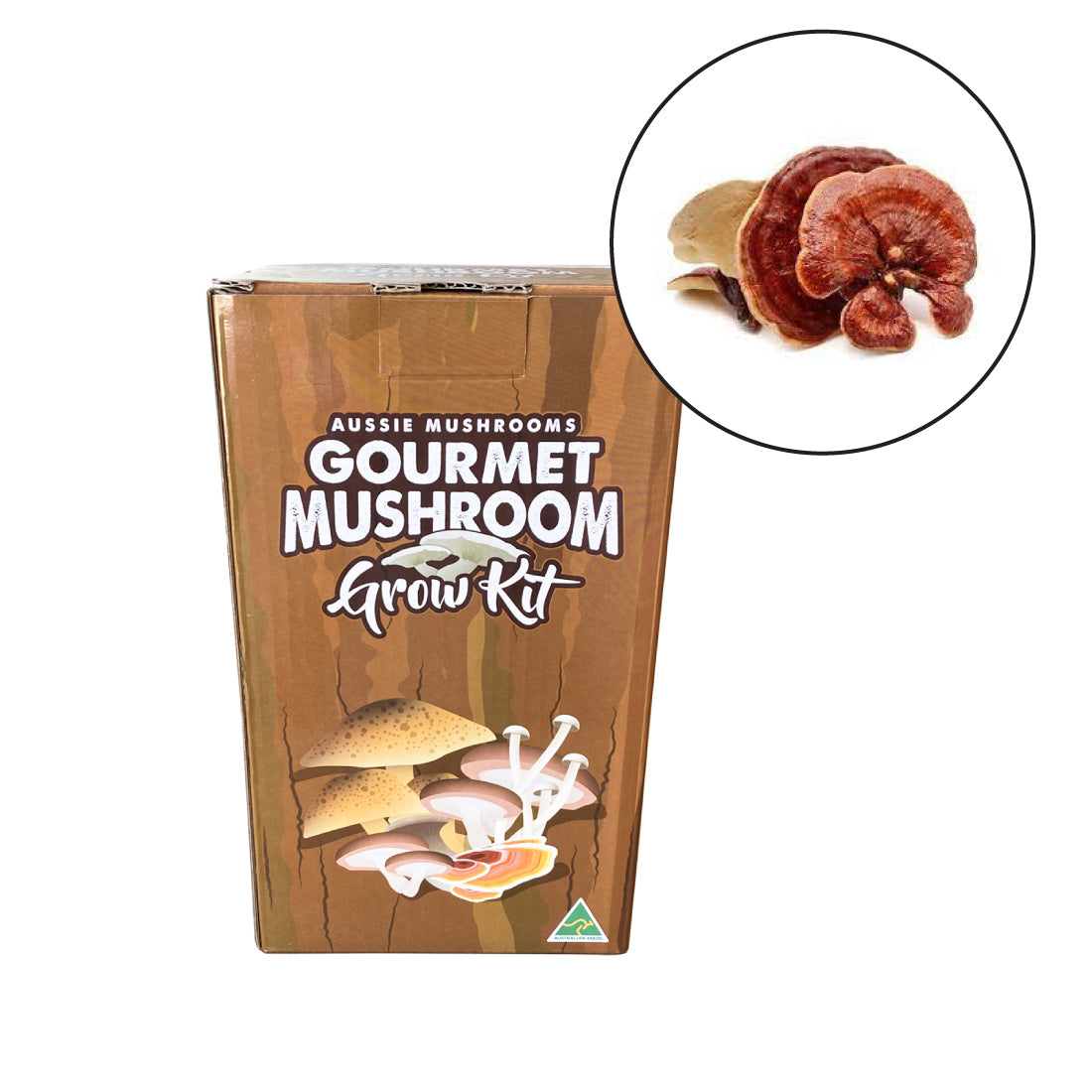 Reishi Mushroom Grow Kit | Aussie Mushrooms