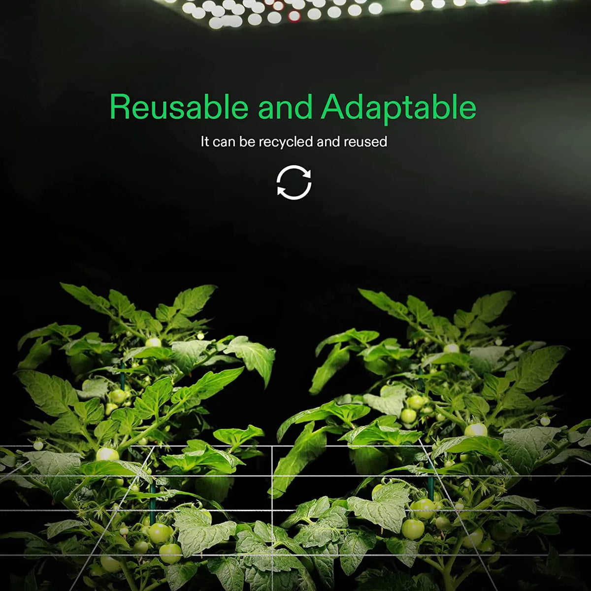 Heavy-Duty Polyester Trellis Netting | 6'' Mesh Sqaures | 4 x 8ft