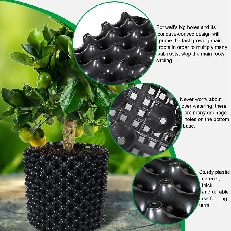 Root Control Air Pruning Nursery Pots | Fast Root Growth Training Containers | 9 Sizes | Durable Black PVC | Bonsai, Trees & Transplanting
