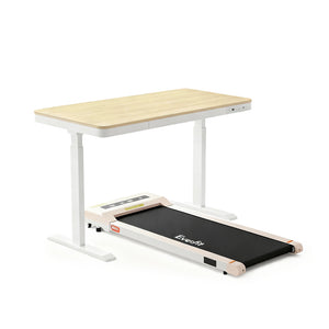 Electric Treadmill + Standing Desk Bundle | 120cm Desk | Walking Pad | 360mm Width