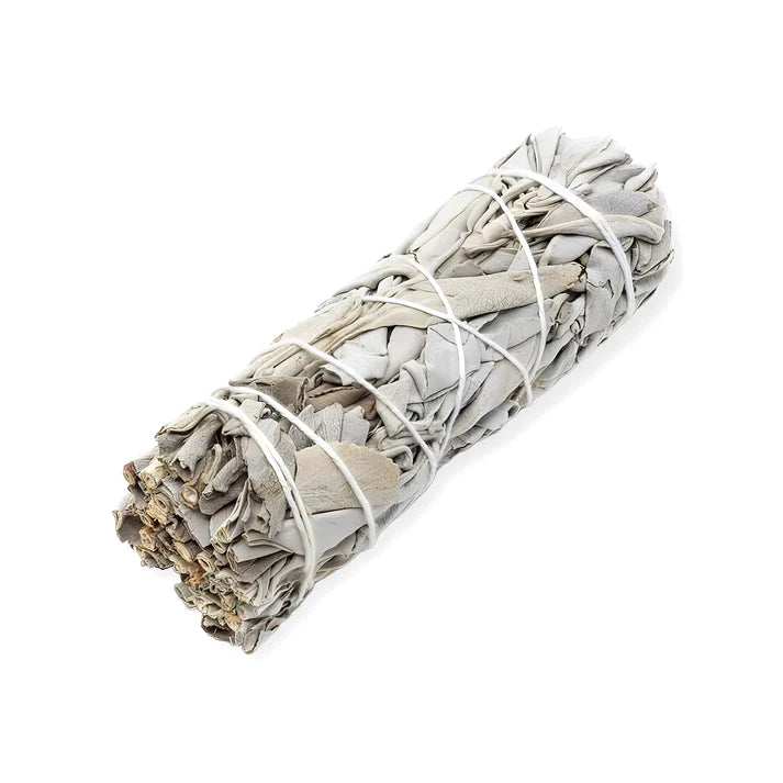 Sage Dreaming Large White Sage Smudge Stick | 17cm