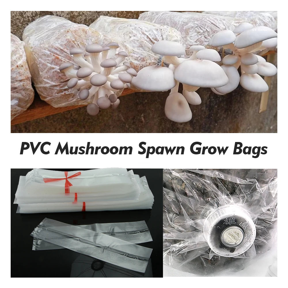 Polypropylene Mushroom Grow Bags | Autoclavable Cultivation Bags for Spawn & Substrate | Multiple Sizes & Pack Options