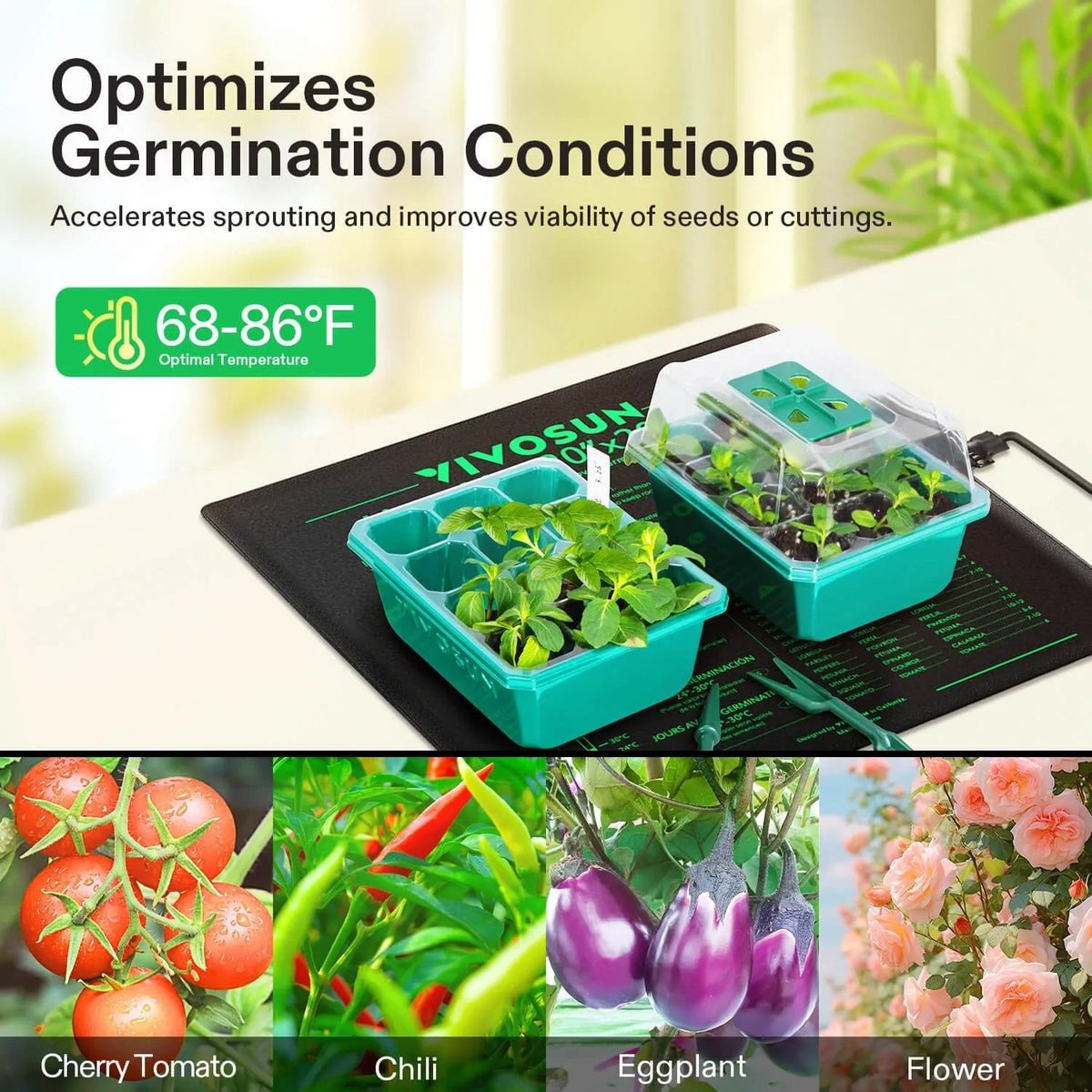 Seedling Heat Mat & Thermostat Combo | 20″ x 20.75″ | Fits Two 1020 Trays | Safe, Energy-Efficient Propagation Mat for Seed Starting & Cloning