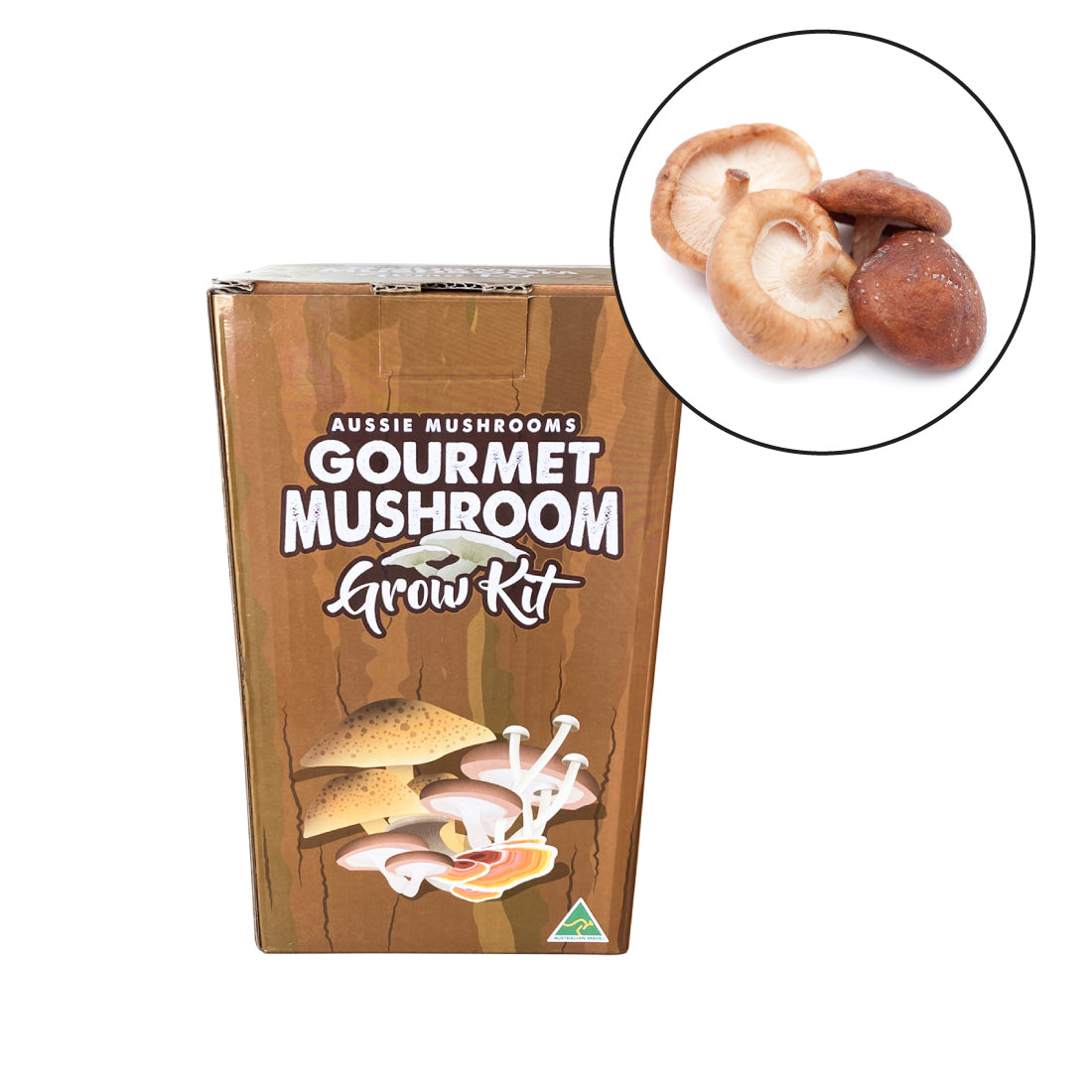 Shitake Mushroom Grow Kit | Aussie Mushrooms