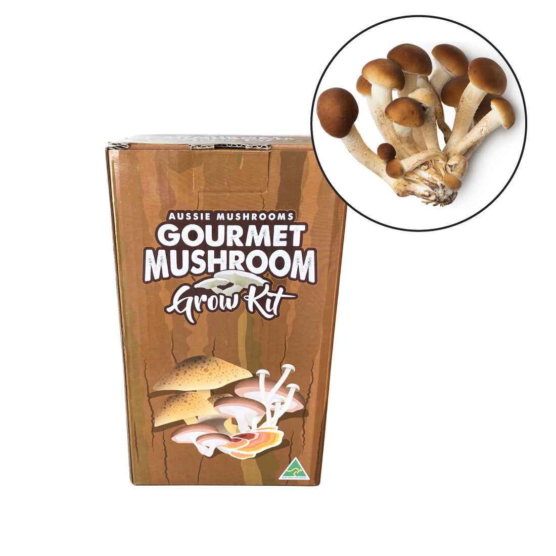 Sword Belt Mushroom Grow Kit | Aussie Mushrooms