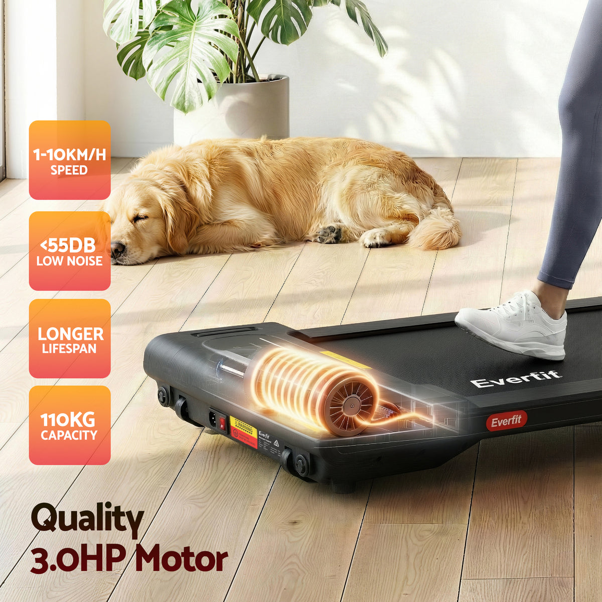2-in-1 Walking Pad Treadmill | Foldable Under Desk | 38cm Belt | App Control | Home Gym