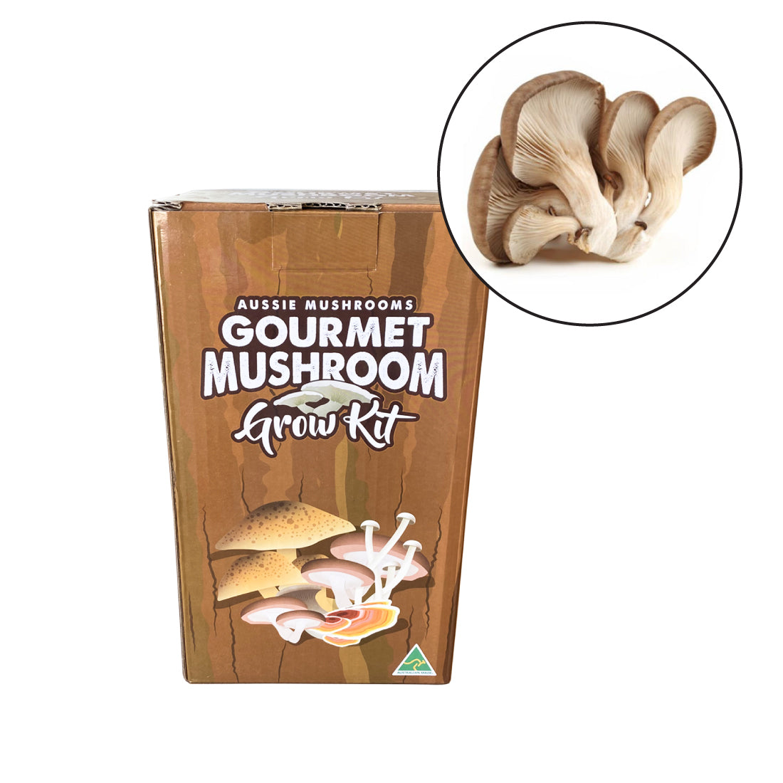 Tan Oyster Mushroom Grow Kit | Aussie Mushrooms