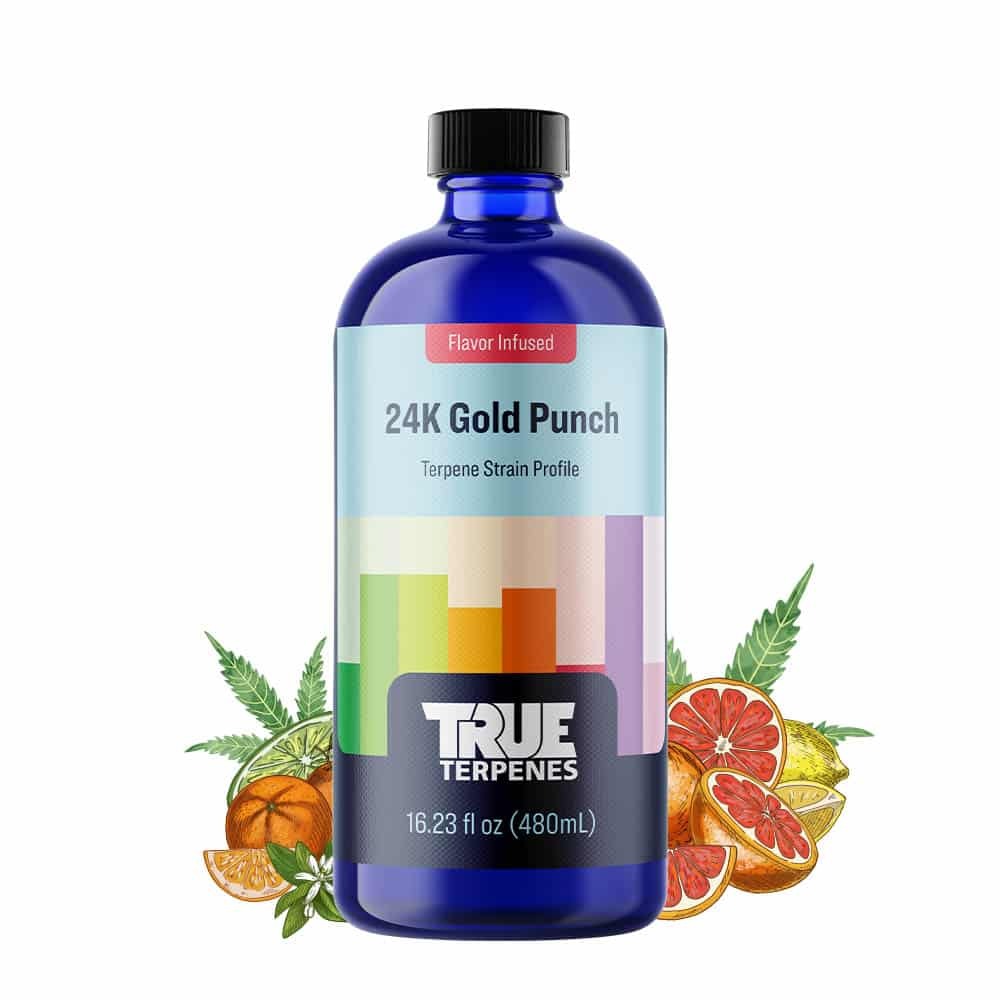 True Terpenes 24K Gold Punch 240mL | Commercial Hybrid Terpene Blend with Tropical Citrus Notes