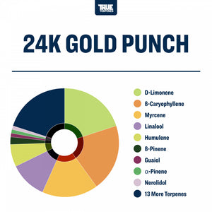 True Terpenes 24K Gold Punch 240mL | Commercial Hybrid Terpene Blend with Tropical Citrus Notes