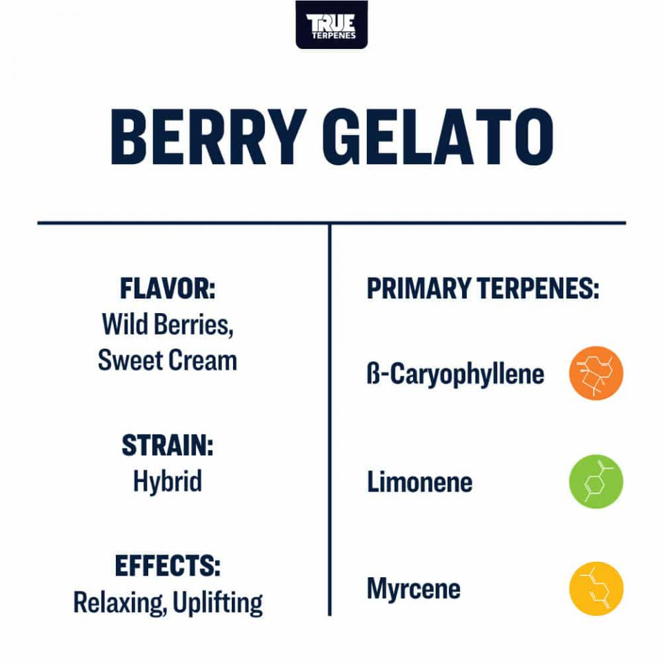 True Terpenes Berry Gelato 240mL | Commercial Hybrid Terpene Blend with Wild Berries & Cream