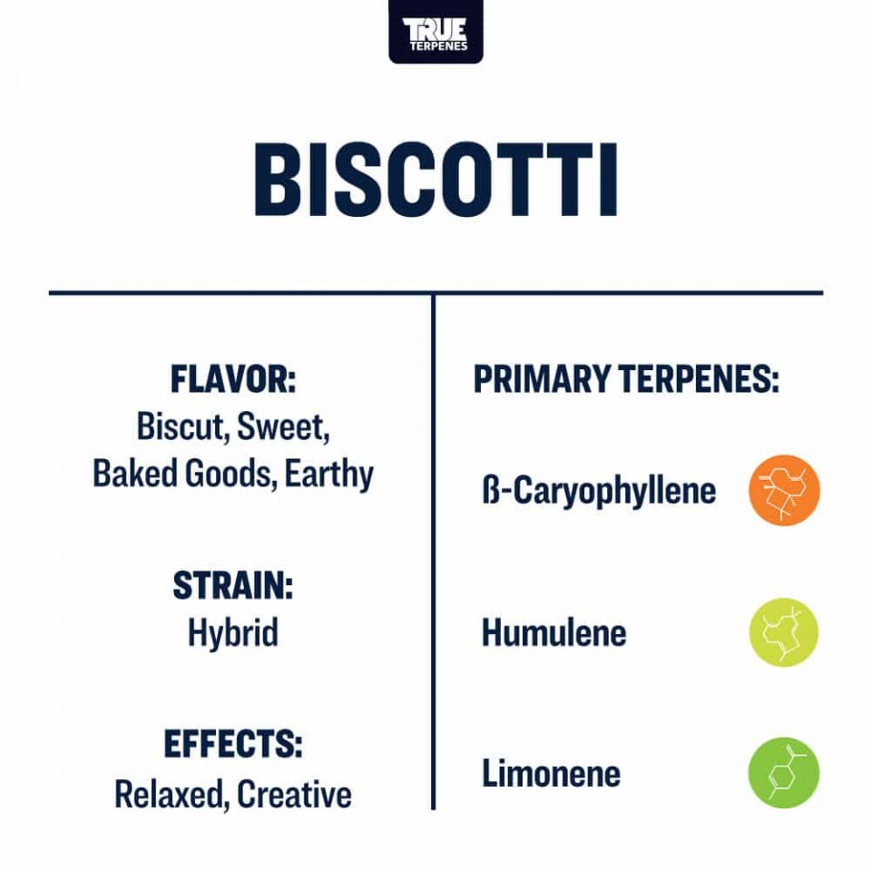 True Terpenes Biscotti 5mL | Hybrid Terpene Blend with Sweet Baked Biscuit Aroma