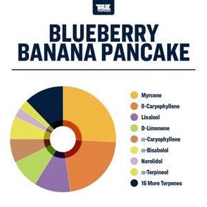 True Terpenes Blueberry Banana Pancake 5mL | Flavoured Terpene Blend for Extracts, Vapes & Infusions