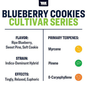 True Terpenes Blueberry Cookies 5mL | Indica Terpene Blend for Extracts, Vapes & Infusions