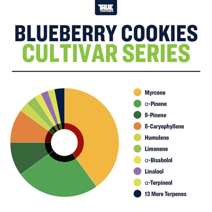 True Terpenes Blueberry Cookies 5mL | Indica Terpene Blend for Extracts, Vapes & Infusions