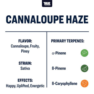 True Terpenes Cannalope Haze 480mL | Industrial Sativa Terpene Blend with Melon, Floral & Pine