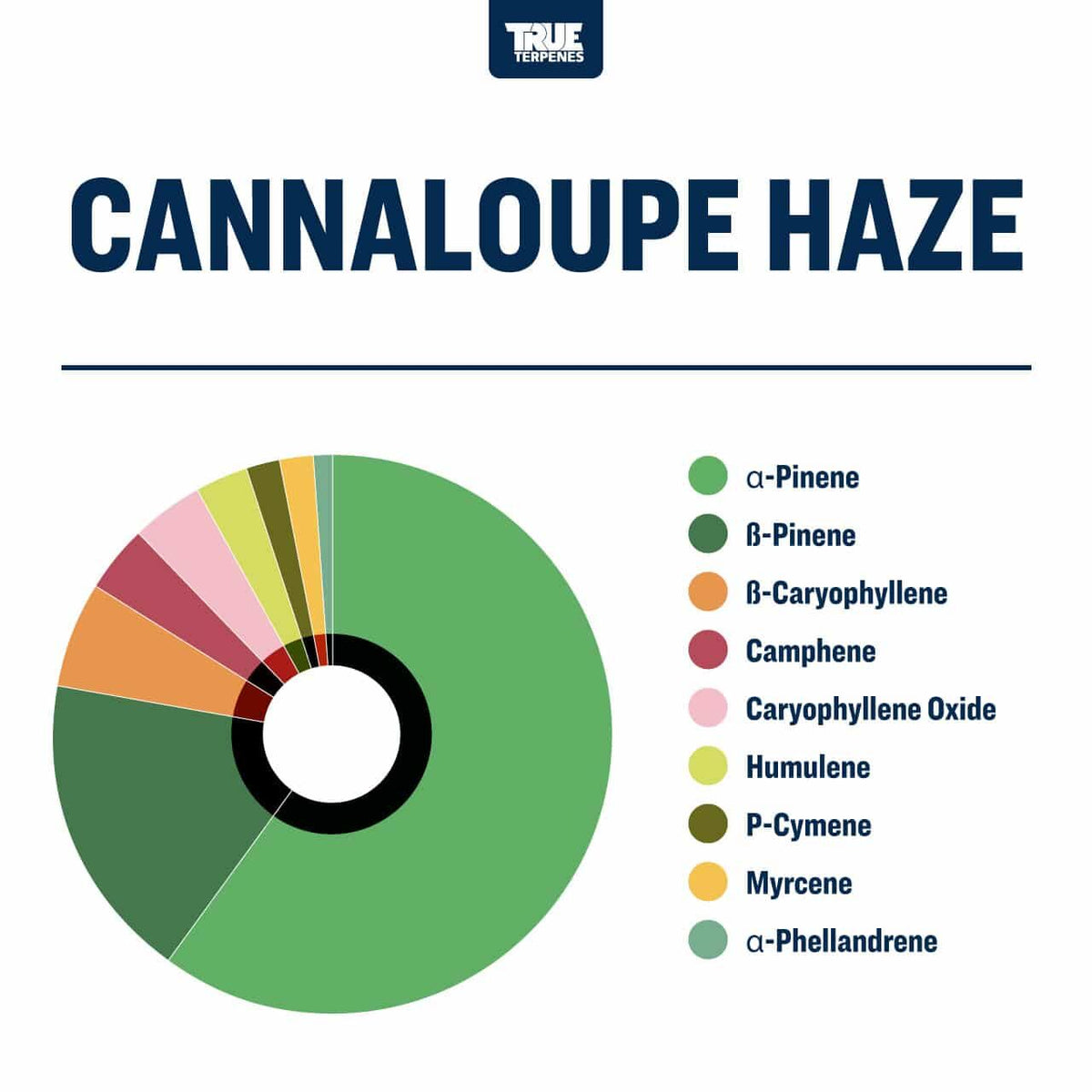 True Terpenes Cannalope Haze 480mL | Industrial Sativa Terpene Blend with Melon, Floral & Pine