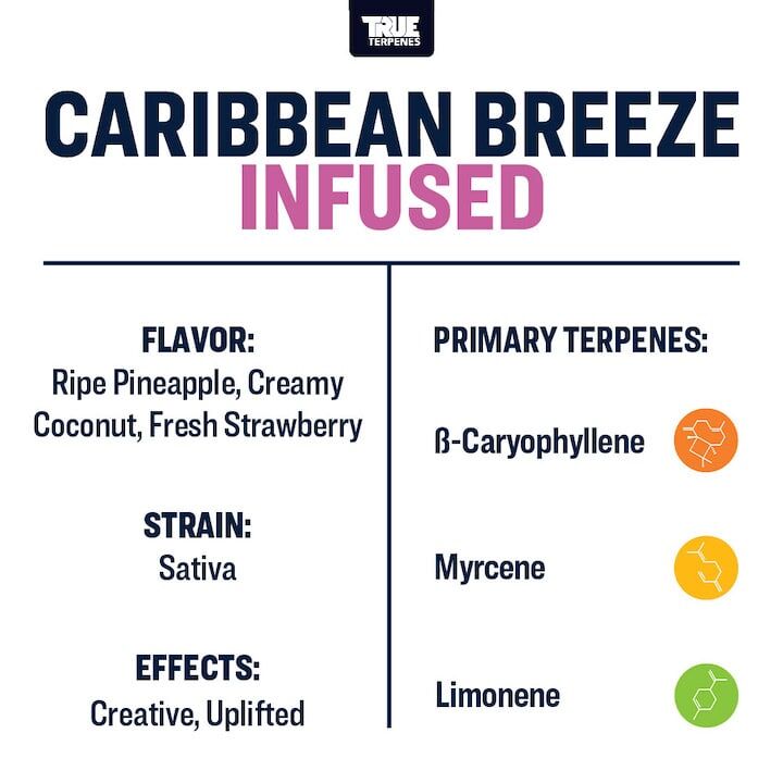 True Terpenes Caribbean Breeze 5mL | Sativa Terpene Blend for Extracts, Vapes & Infusions