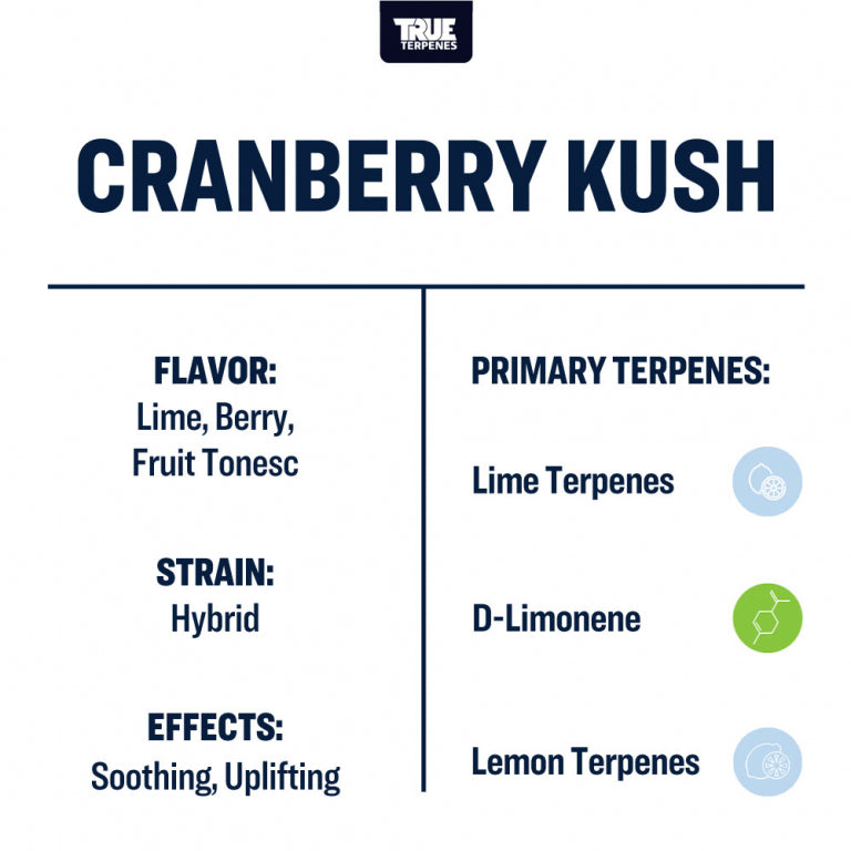 True Terpenes Cranberry Kush 5mL | Tart Berry Hybrid Terpene Blend with Lime & Herbal Fruit Notes
