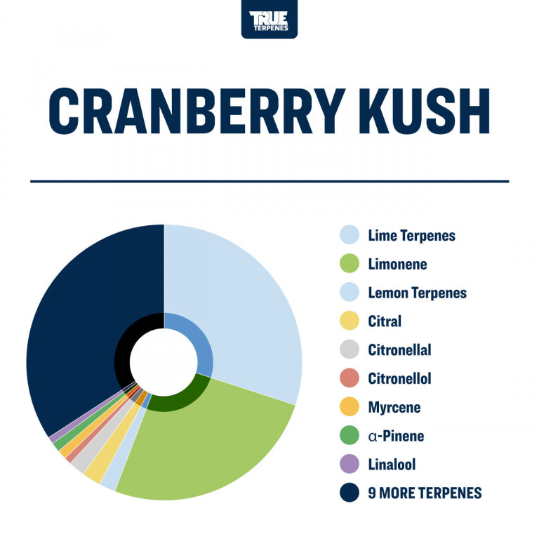 True Terpenes Cranberry Kush 5mL | Tart Berry Hybrid Terpene Blend with Lime & Herbal Fruit Notes