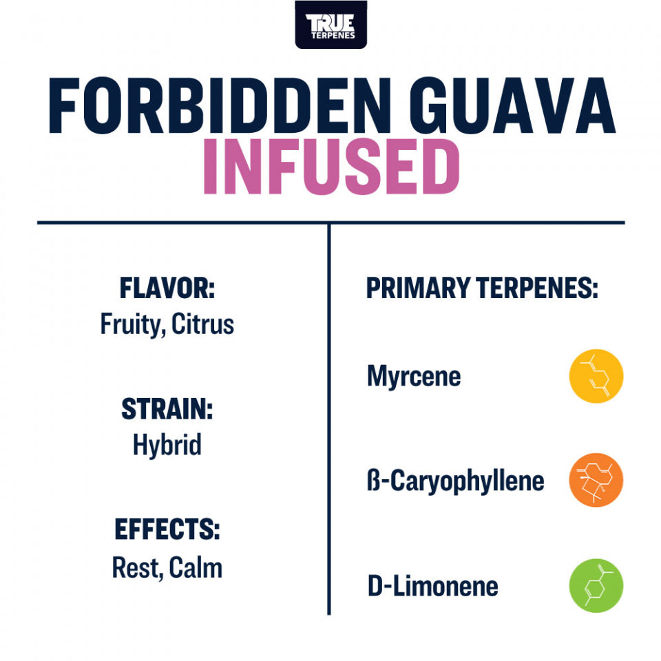 True Terpenes Forbidden Guava 240mL | Exotic Tropical Hybrid Terpene with Guava, Cherry & Creamy Floral Notes