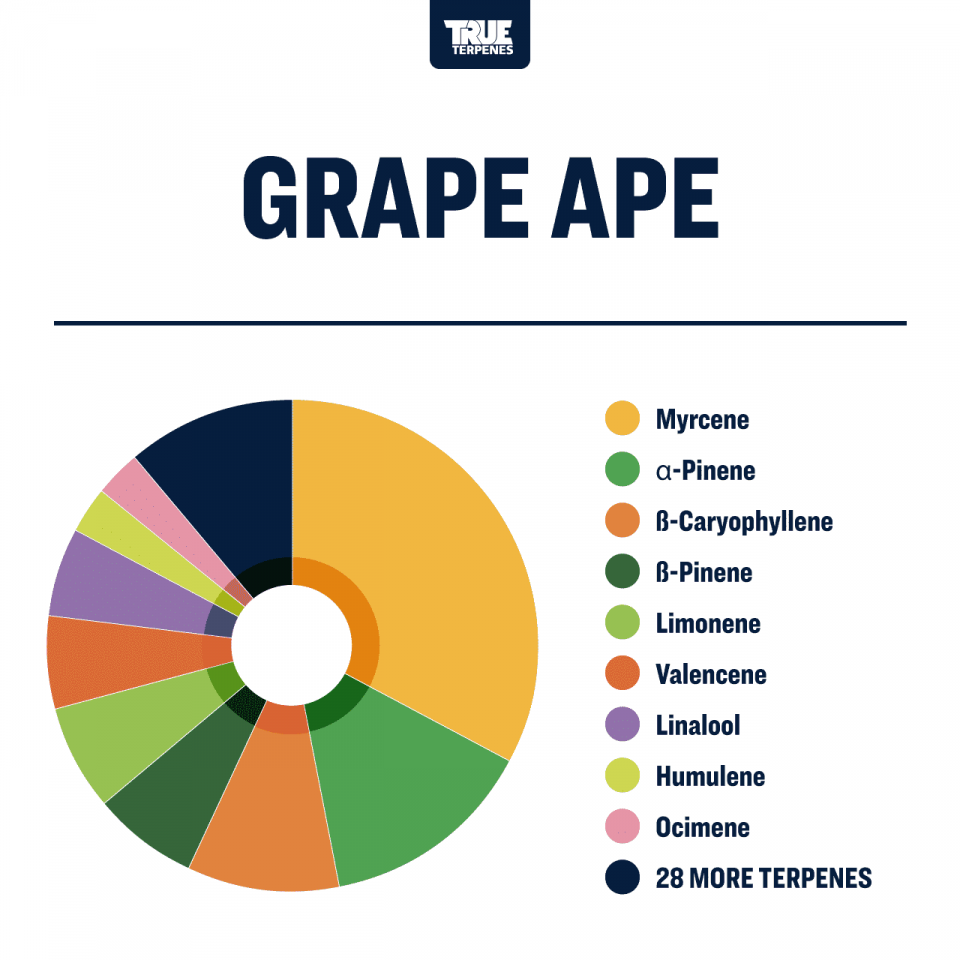 True Terpenes Grape Ape 240mL | Calming Indica Terpene with Grape, Earthy Pine & Floral Lavender