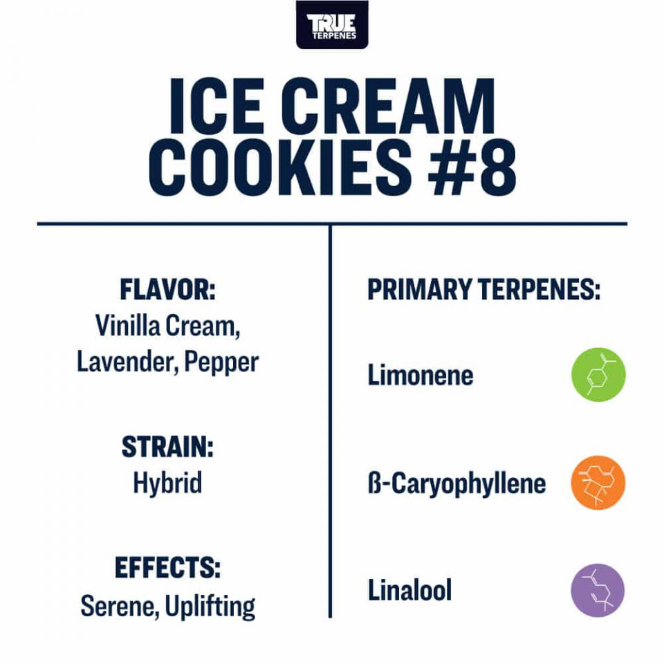 True Terpenes Ice Cream Cookies #8 480mL | Bulk Hybrid Terpene with Vanilla Cream, Lavender & Citrus for Calm Energy