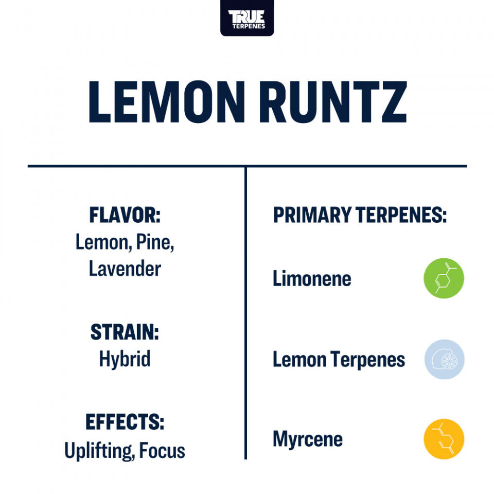 True Terpenes Lemon Runtz 240mL | Bulk Uplifting Citrus Hybrid Terpene with Pine & Lavender Notes