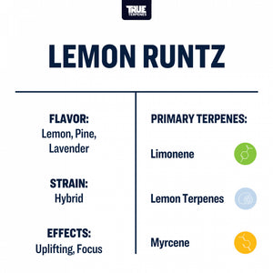 True Terpenes Lemon Runtz 240mL | Bulk Uplifting Citrus Hybrid Terpene with Pine & Lavender Notes