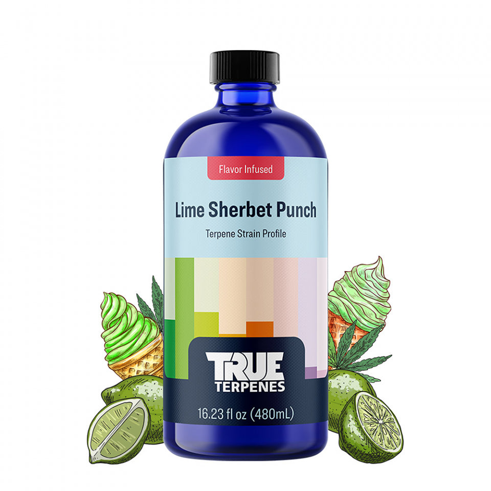 True Terpenes Lime Sherbert Punch 240mL | Bulk Indica Terpene with Creamy Citrus & Euphoric Diesel Notes