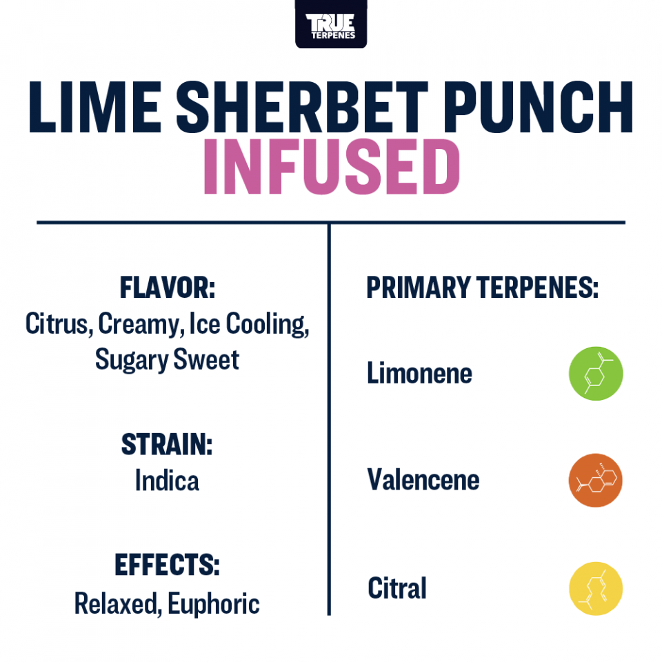True Terpenes Lime Sherbert Punch 240mL | Bulk Indica Terpene with Creamy Citrus & Euphoric Diesel Notes