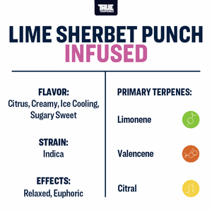 True Terpenes Lime Sherbert Punch 240mL | Bulk Indica Terpene with Creamy Citrus & Euphoric Diesel Notes