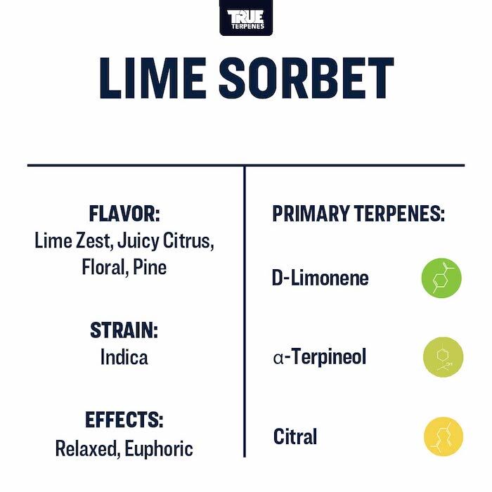 True Terpenes Lime Sorbet 30mL | Indica-Dominant Hybrid Terpene Blend for Extracts, Vapes & Infusions