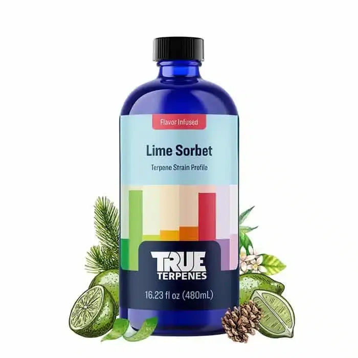 True Terpenes Lime Sorbet 30mL | Indica-Dominant Hybrid Terpene Blend for Extracts, Vapes & Infusions