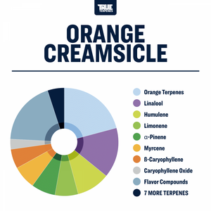 True Terpenes Orange Creamsicle 240mL | Bulk Creamy Citrus Hybrid Terpene for Relaxed, Uplifting Formulations