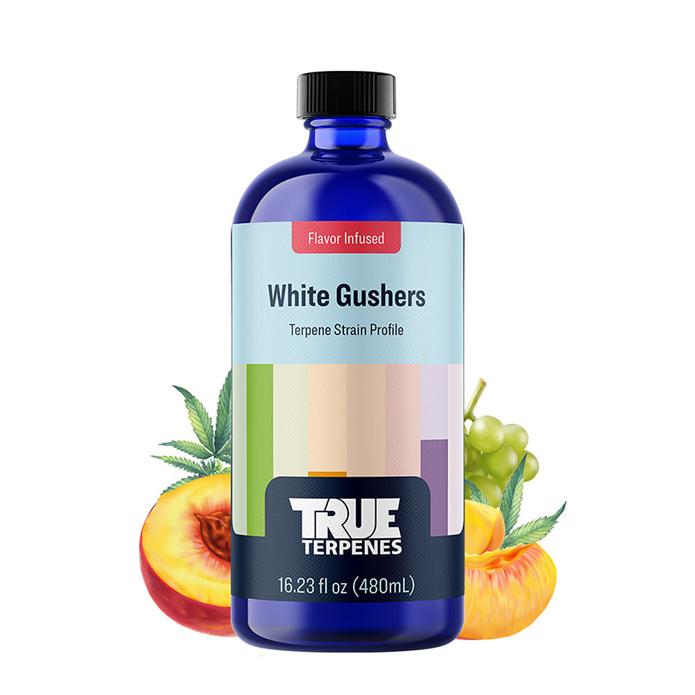 True Terpenes White Gushers 480mL | Commercial Fruity Hybrid Terpene with Creamy Peach & Kush Aroma
