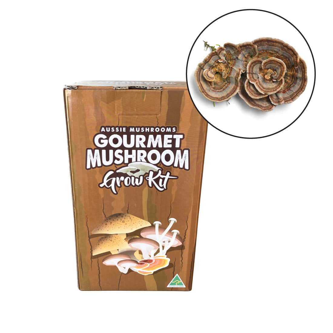 Turkey Tail Mushroom Grow Kit | Aussie Mushrooms