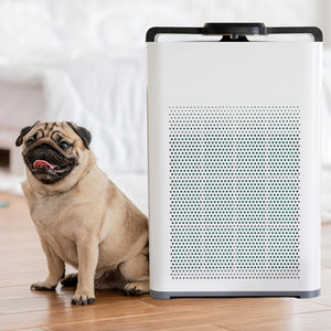 MyGenie Pure Max Air Purifier | Carbon Filter | 5-in-1 Cleaning System | 100 m2 | White