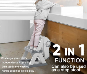 Potty Training Seat Ladder | Kids Boys Girls | Grey