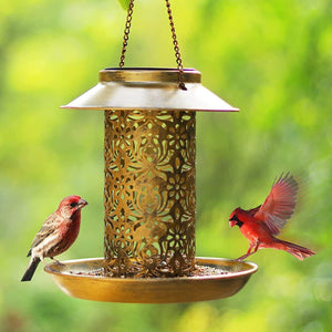Solar Bird Seed Feeder | Hanging Outdoor Garden Feeder for Wild Birds